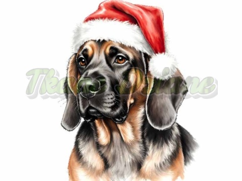 PANEL DRUKOWANY BIAŁO-CZARNE ZWIERZĘTA- PIES NR 7