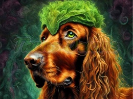 PANEL DRUKOWANY PIES Z KOLOROWYMI WŁOSAMI - SETER IRLANDZKI NR 15