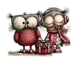 PANEL DRUKOWANY SOWA NR 11