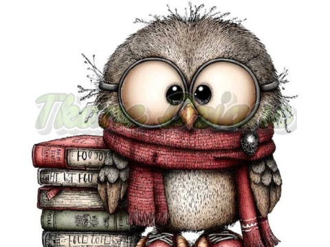 PANEL DRUKOWANY SOWA NR 10