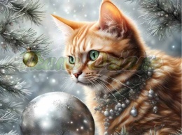 PANEL DRUKOWANY KOTY Z BOMBKAMI NR 1