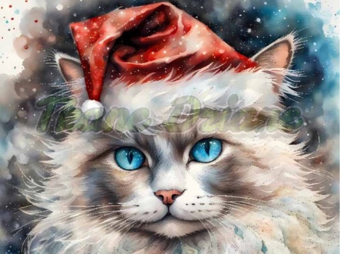 PANEL DRUKOWANY ŚWIĄTECZNE KOTY- RAGDOLL NR 20