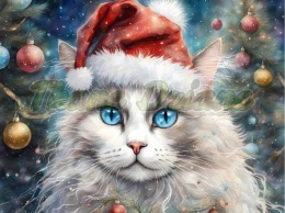 PANEL DRUKOWANY ŚWIĄTECZNE KOTY -RAGDOLL NR 12