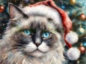 PANEL DRUKOWANY ŚWIĄTECZNE KOTY -RAGDOLL NR 13
