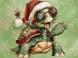 PANEL DRUKOWANY ŻÓŁW W CZAPCE MIKOŁAJA NR 16