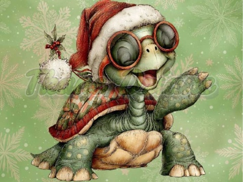 PANEL DRUKOWANY ŻÓŁW W CZAPCE MIKOŁAJA NR 16