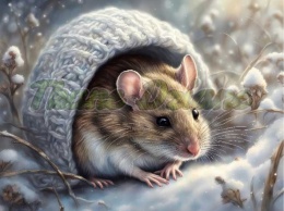 PANEL DRUKOWANY ZIMOWE ZWIERZĘTA- MYSZ NR 5