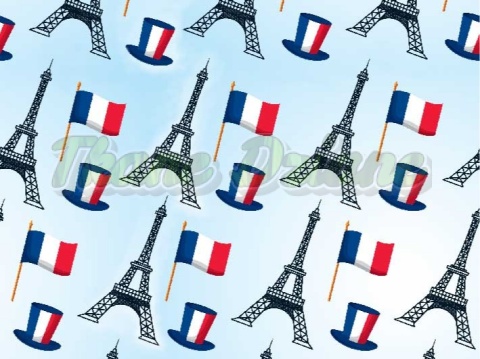 TKANINA DRUKOWANA WIEŻA EIFFLA NR 2