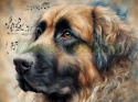 PANEL DRUKOWANY AKWARELOWE PSY -LEONBERGER NR 101