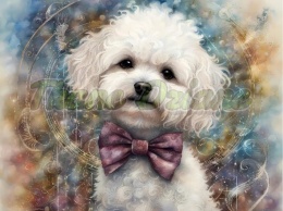 PANEL DRUKOWANY AKWARELOWE PSY -BICHON FRIESE NR 102