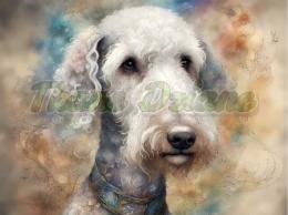 PANEL DRUKOWANY AKWARELOWE PSY -BEDLINGTON TERRIER NR 109