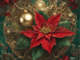 PANEL DRUKOWANY GWIAZDA BETLEJEMSKA NR 2