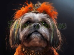 PANEL DRUKOWANY PIES Z KOLOROWYMI WŁOSAMI - SHIH TZU NR 29