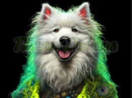 PANEL DRUKOWANY PIES Z KOLOROWYMI WŁOSAMI - SAMOYED NR 26