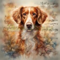 PANEL DRUKOWANY AKWARELOWE PSY - NOVA SCOTIA DUCK TOLLING RETRIEVER NR 122