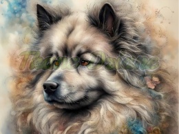 PANEL DRUKOWANY AKWARELOWE PSY - SZPIC WILCZY NR 126