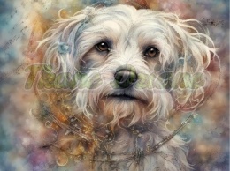 PANEL DRUKOWANY AKWARELOWE PSY - MALTAŃCZYK NR 135