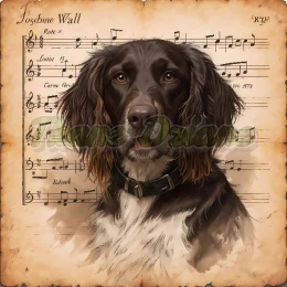 PANEL DRUKOWANY AKWARELOWE PSY - MAŁY MUNSTERLANDER NR 120