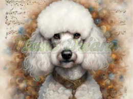 PANEL DRUKOWANY AKWARELOWE PSY - PUDEL BIAŁY NR 129