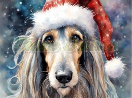 PANEL DRUKOWANY ŚWIĄTECZNY CHART AFGAŃSKI NR 18