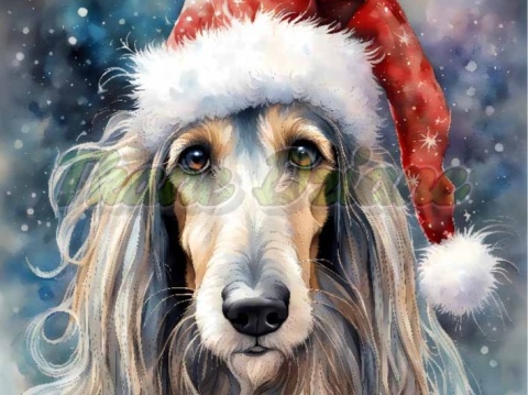 PANEL DRUKOWANY ŚWIĄTECZNY CHART AFGAŃSKI NR 18