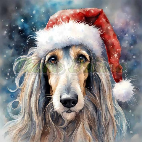 PANEL DRUKOWANY ŚWIĄTECZNY CHART AFGAŃSKI NR 18