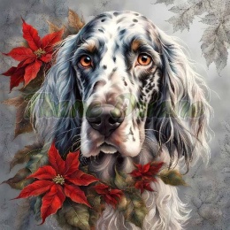 PANEL DRUKOWANY ŚWIĄTECZNY SETER ANGIELSKI NR 23