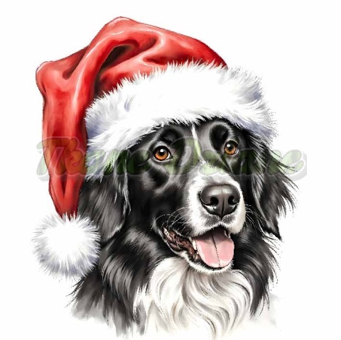 PANEL DRUKOWANY ŚWIĄTECZNY BORDER COLIE NR 8