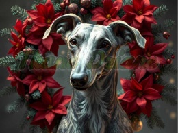 PANEL DRUKOWANY ŚWIĄTECZNY WHIPPET NR 6