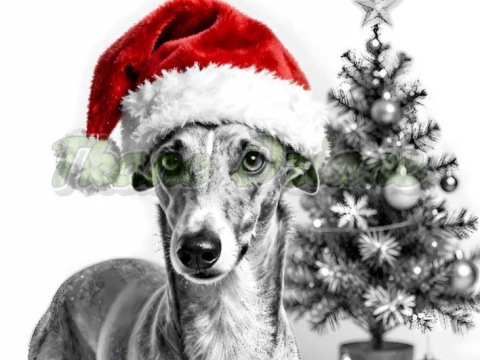 PANEL DRUKOWANY ŚWIĄTECZNY WHIPPET NR 10