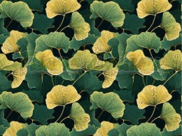 TKANINA DRUKOWANA MIŁORZĄB NR 4