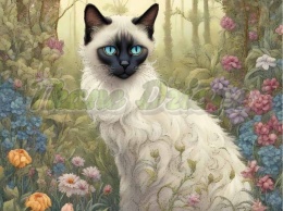 PANEL DRUKOWANY ART NOUVEAU- KOT BALINESE NR 71