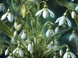 PANEL DRUKOWANY KWIATY NR 29