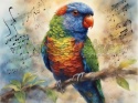 PANEL DRUKOWANY PAPUGA NR 1
