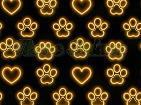 TKANINA DRUKOWANA NEONOWE ŁAPKI NR 3