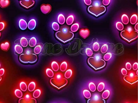 TKANINA DRUKOWANA NEONOWE ŁAPKI NR 5