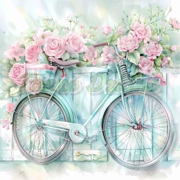 PANEL DRUKOWANY PASTELOWY ROWER NR 24