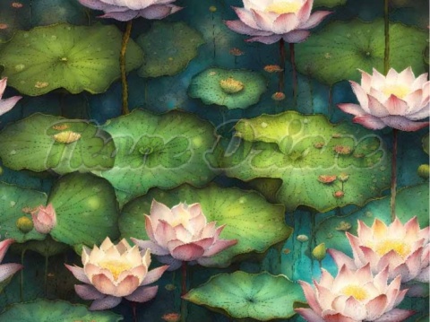 TKANINA DRUKOWANA KWIATY NR 35