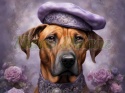 PANEL DRUKOWANY RHODESIAN RIDGEBACK W KAPELUSZU NR 17