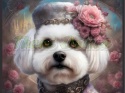 PANEL DRUKOWANY BICHON FRIESE W KAPELUSZU NR 16