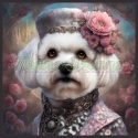 PANEL DRUKOWANY BICHON FRIESE W KAPELUSZU NR 16