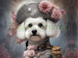 PANEL DRUKOWANY PSY W KAPELUSZCH NR 9