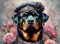 PANEL DRUKOWANY ROTTWEILER W KAPELUSZU NR 18