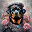 PANEL DRUKOWANY ROTTWEILER W KAPELUSZU NR 18
