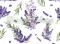 TKANINA DRUKOWANA LAWENDA NR 10