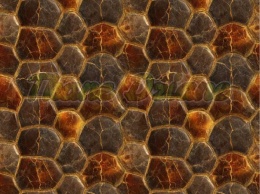 TKANINA DRUKOWANY MOZAIKA- SKORUPA ŻÓŁWIA NR 3