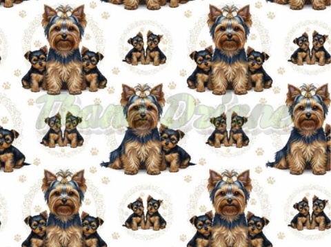 TKANINA DRUKOWANY PSY- YORK NR 2