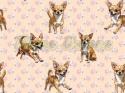 TKANINA DRUKOWANY PSY- CHIHUAHUA NR 5