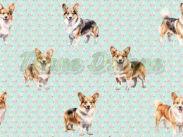 TKANINA DRUKOWANY PSY- CORGI NR 3