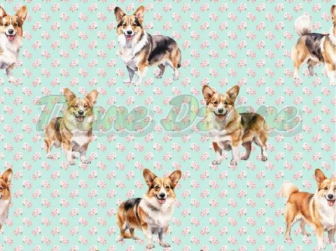 TKANINA DRUKOWANY PSY- CORGI NR 3